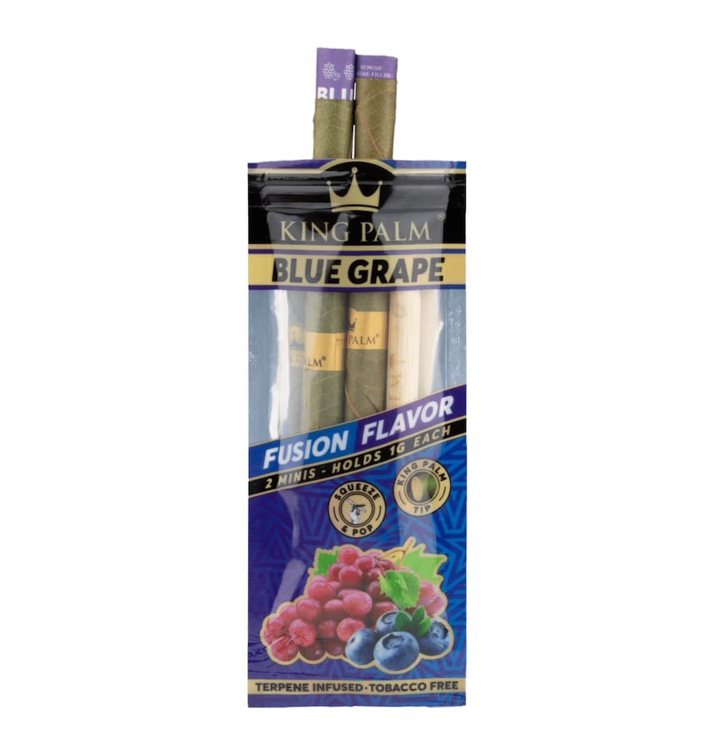 King Palm Mini Cones 2pk - Planet Caravan