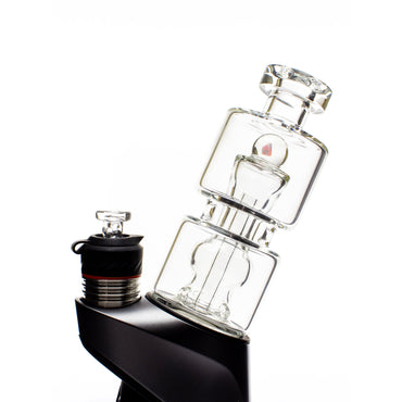 Planet Caravan Clear Mushroom Matching Bundle - Planet Caravan