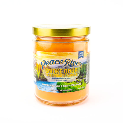 Smoke Odor Odor Exterminator Candle - Planet Caravan