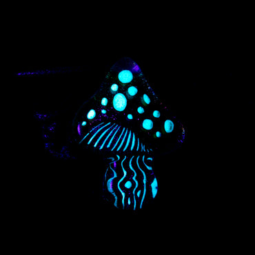 Darkevitrum Glass Dichro Mushroom Pendant #DRK035 - Planet Caravan