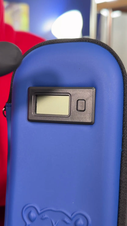 Bear Quartz - Polar Pack Portable Personal Cooler