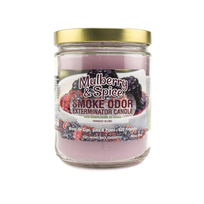 Odor Exterminator Candle - Planet Caravan Smoke Shop
