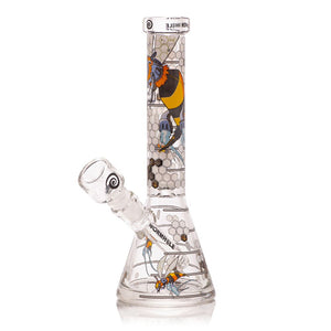 Descriptive image text